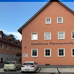 Hotel Landgasthof-hotel Hammermühle
